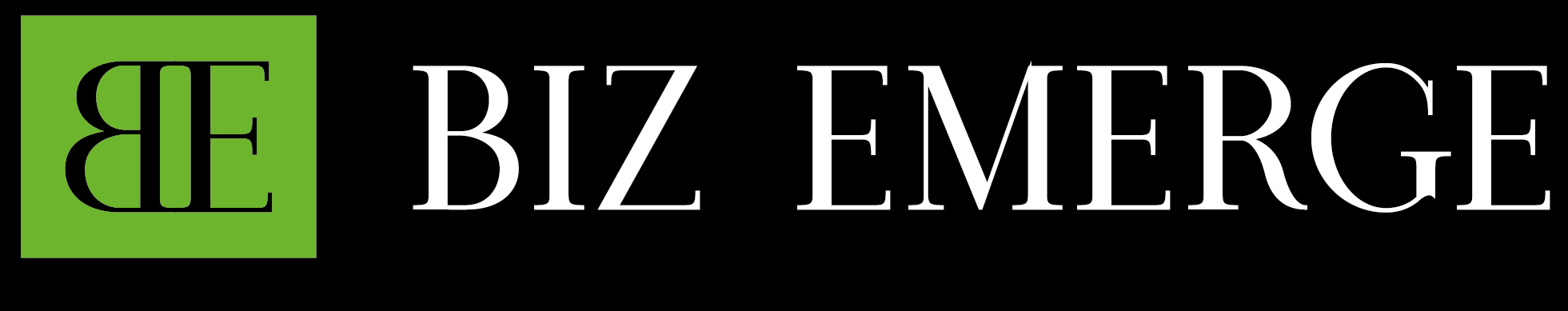 Biz Emerge